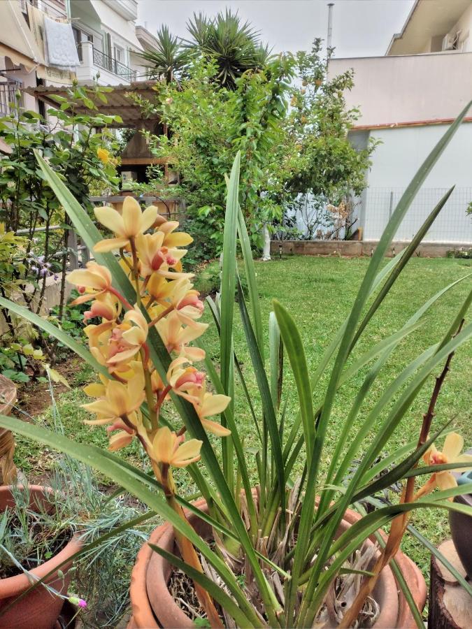 Apartment Garden V *