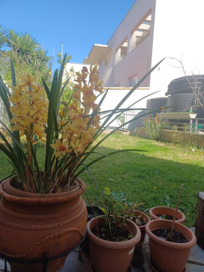 Apartment Garden V *