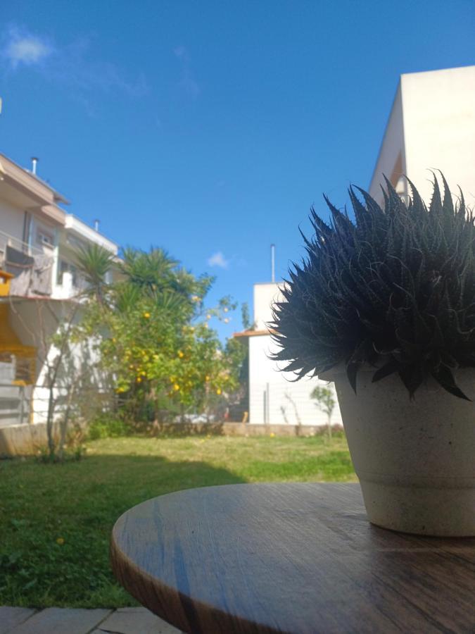 Garden V Apartment *